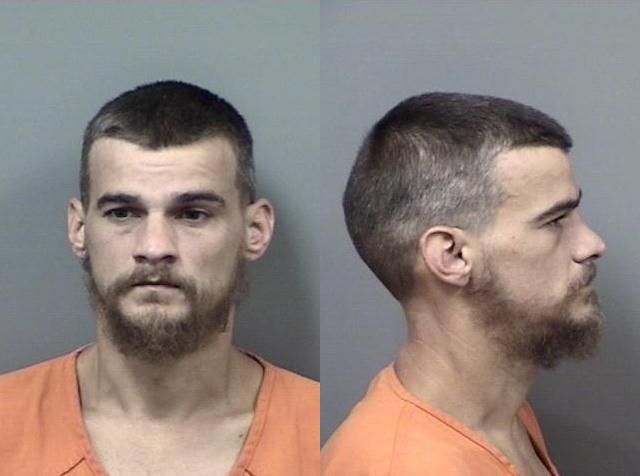 Shannon Danekas arrested July 3 for misdemeanor violation of probation.